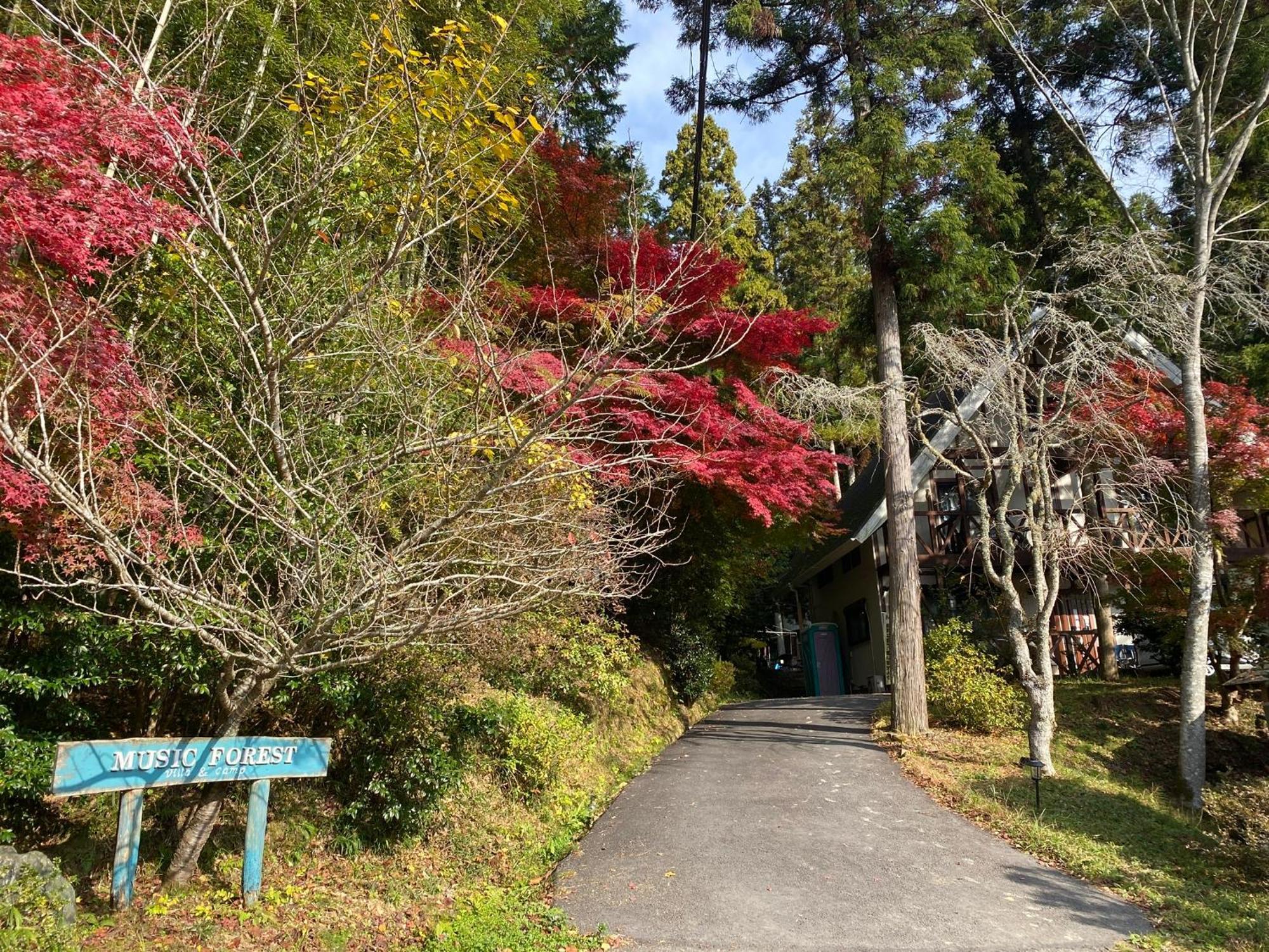 Music Forest Villa&Camp Tamba-Sasayama Екстериор снимка